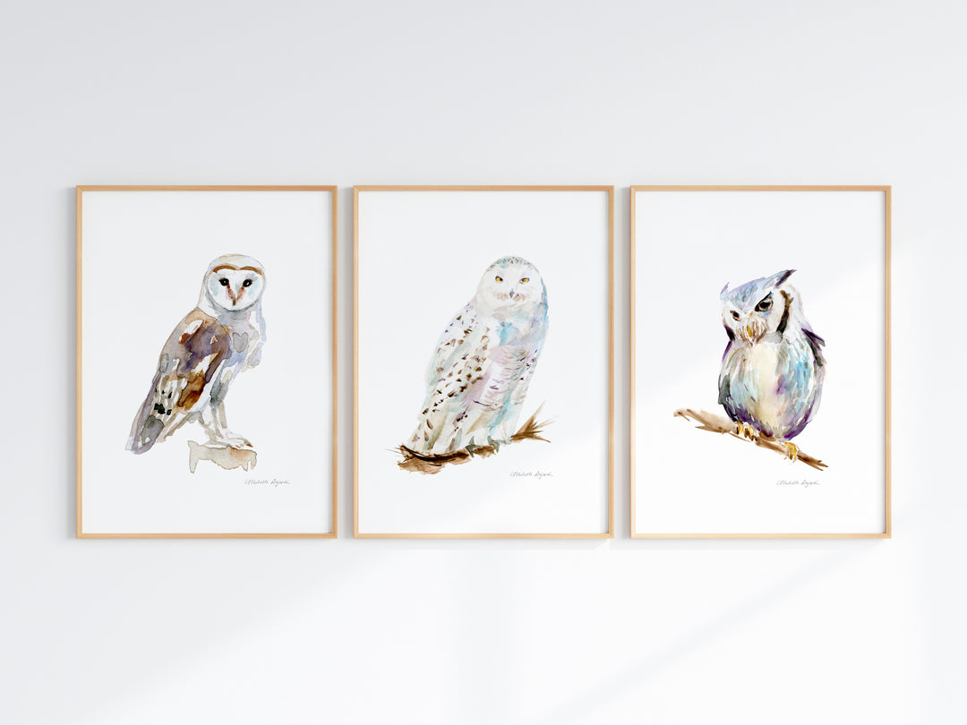 Set of 3 watercolor paintings of owls: barn owl, snowy owl and white faced owl by Michelle Dujardin