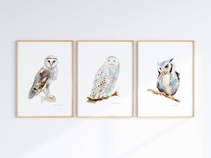 Set of 3 watercolor paintings of owls: barn owl, snowy owl and white faced owl by Michelle Dujardin