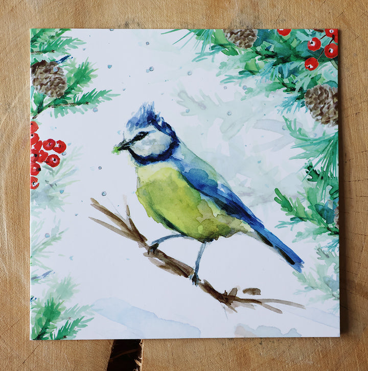 Greeting cards 'Winter Birds' by Michelle Dujardin (2025 release) with kingfisher