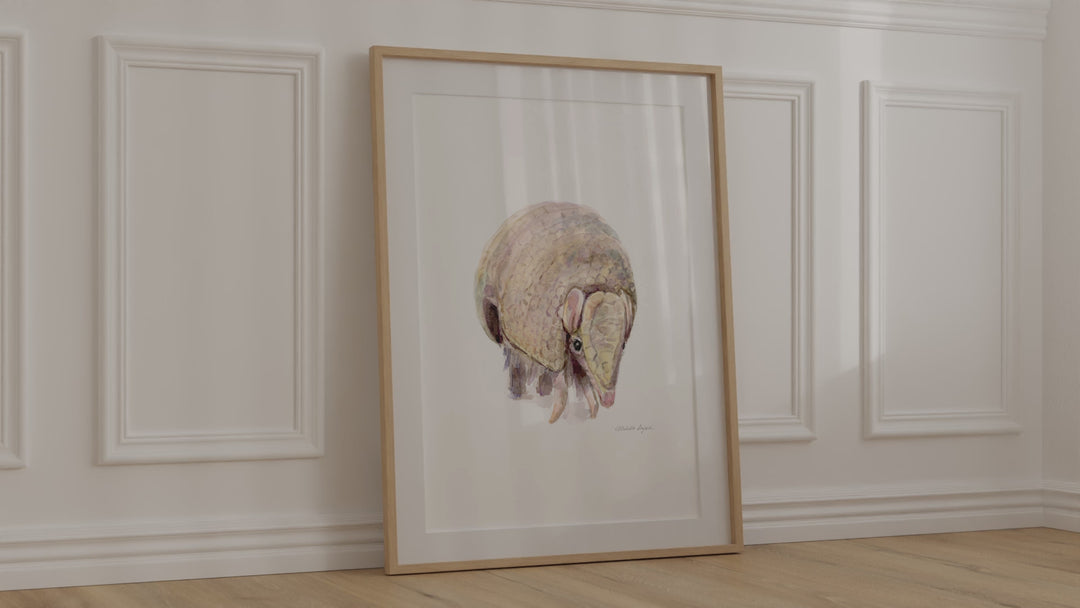 armadillo aquarel video