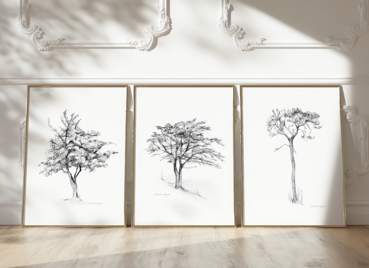 Set of 3 tree Zen drawings in pencil