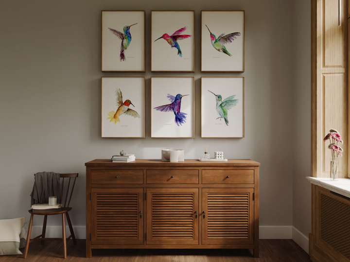 Kolibrie kunst vide0