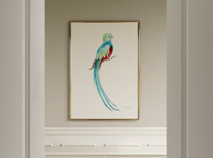 Quetzal bird art video