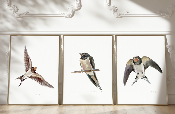 swallow art print set