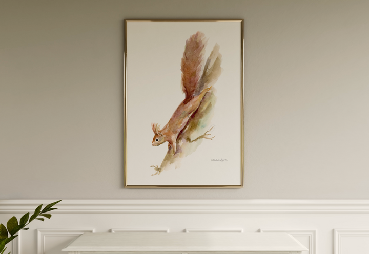 eekhoorn muurprint video