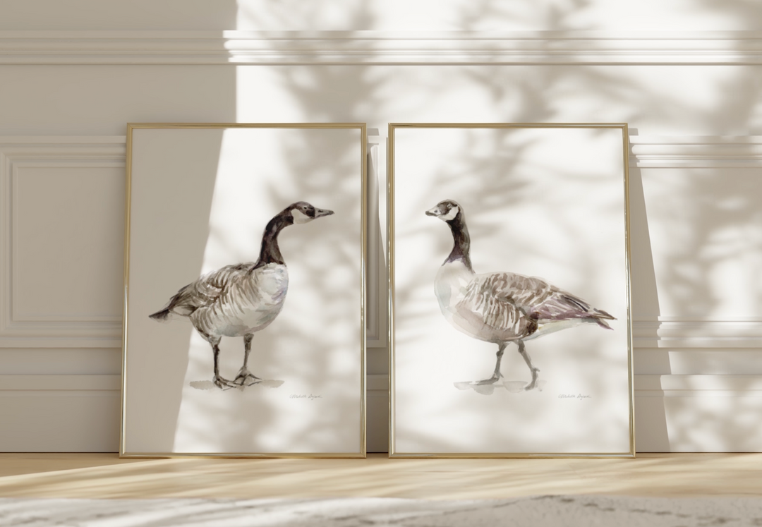 Canadian Goose art video