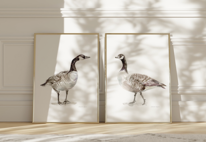 Canadian Goose art video