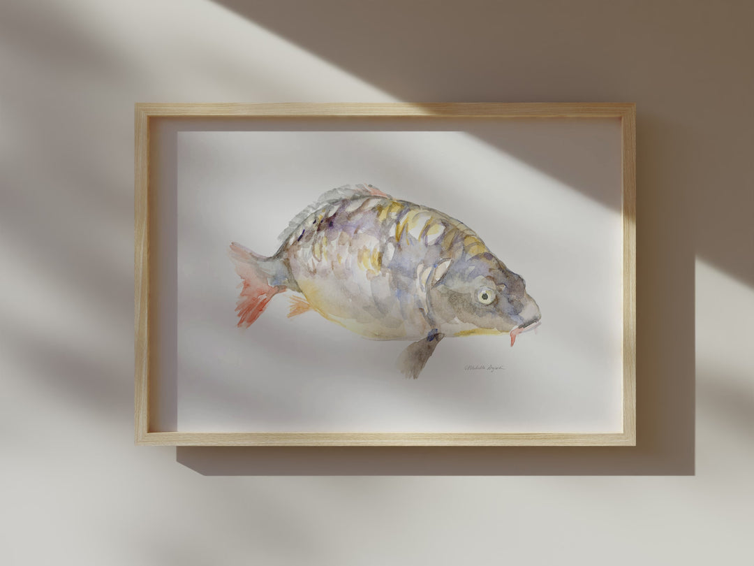 carp art video