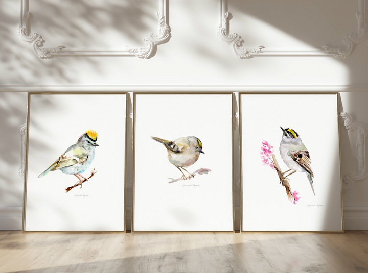 video of goldcrest bird art prints