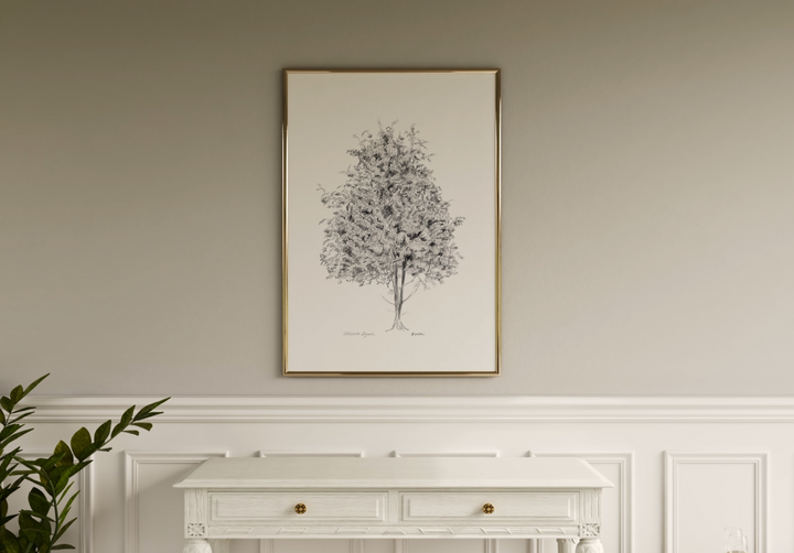 Rowan tree Zen drawing print in pencil