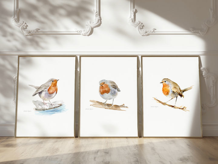 video f 3 red robin watercolor paintings