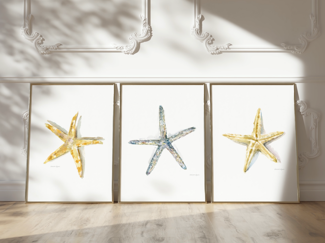 Set of 3 Starfish Wall Prints