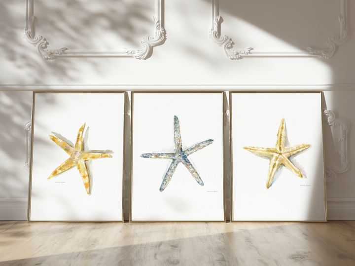 Set of 3 Starfish Wall Prints