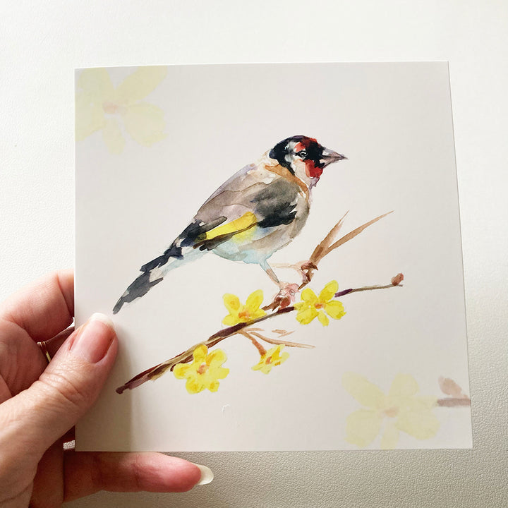 Birds and blossoms greeting cards by Michelle Dujardin