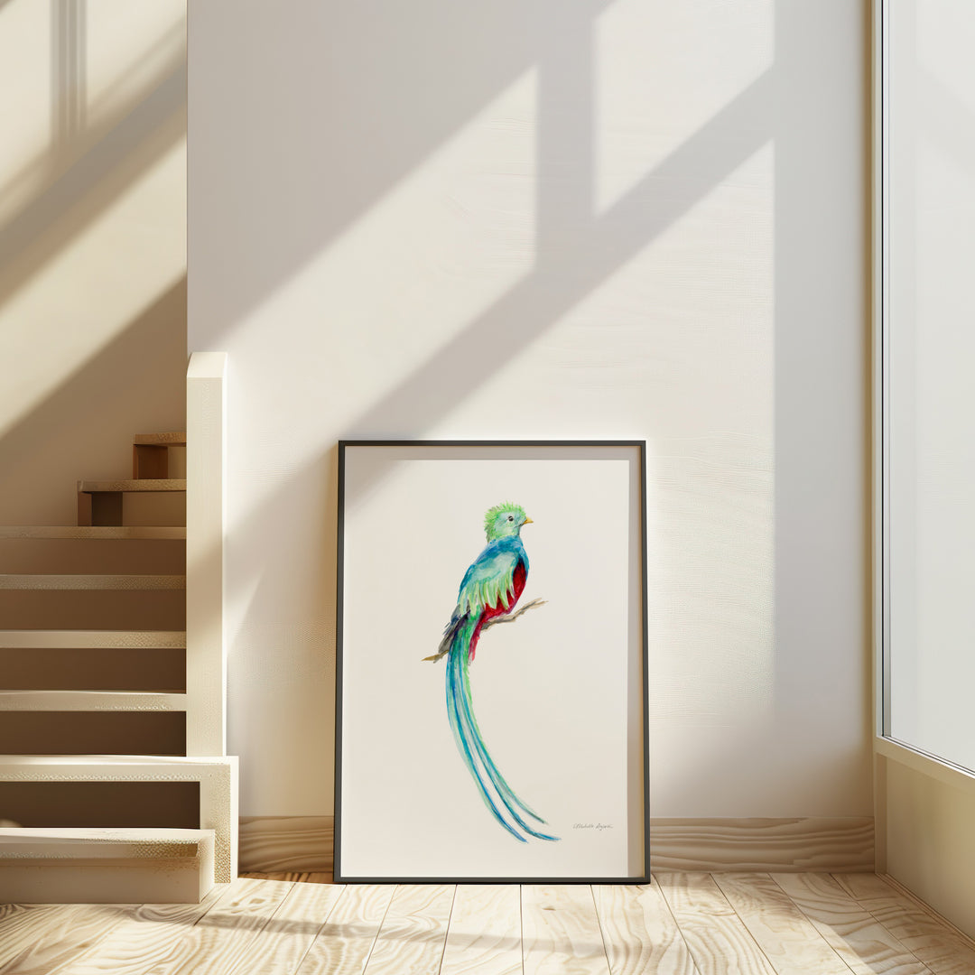 Quetzal bird Art Print