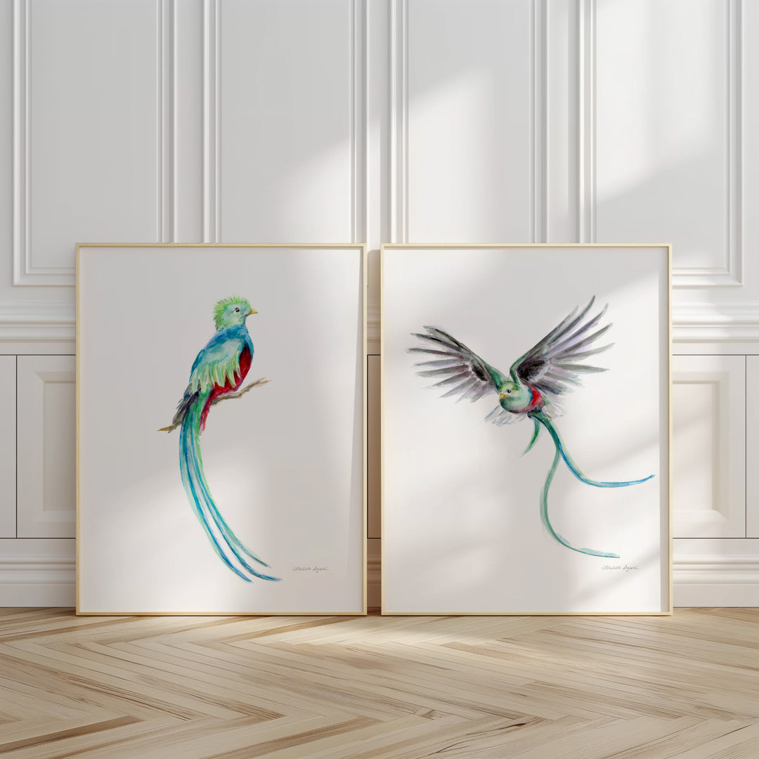 Quetzal bird wall art prints by Michelle Dujardin