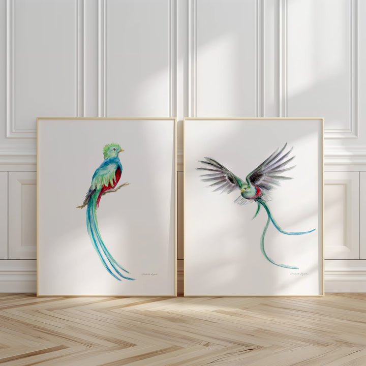 Quetzal bird wall art prints by Michelle Dujardin