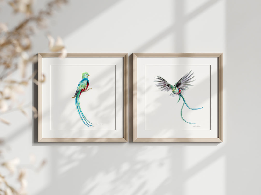 groen blauwe Quetzal vogels schilderijen Michelle Dujardin