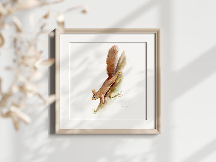 Red squirrel watercolor painting in frame by Michelle Dujardin