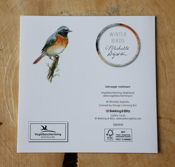 Greeting cards 'Winter Birds' by Michelle Dujardin (2025 release) with kingfisher