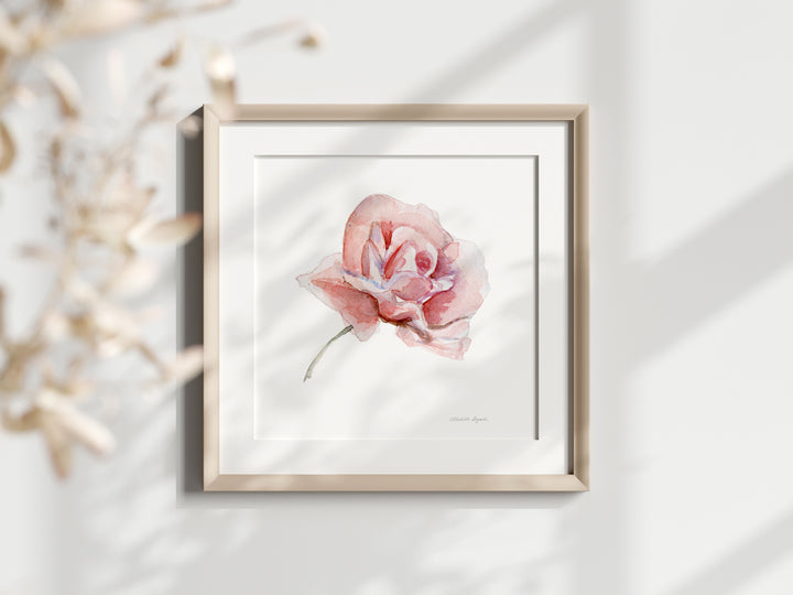 Roze roos aquarel schilderij van Michelle Dujardin