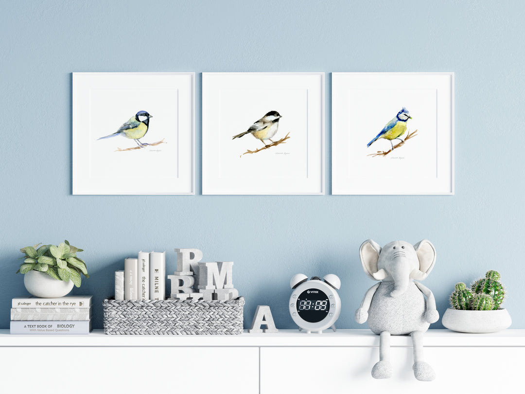 Set of 3 Tit Bird Prints