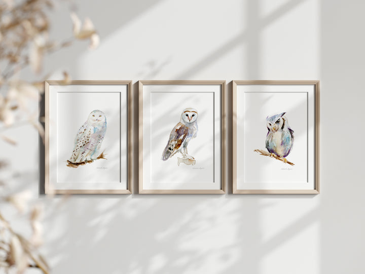 set van 3 uilen aquarel schilderijen van Michelle Dujardin