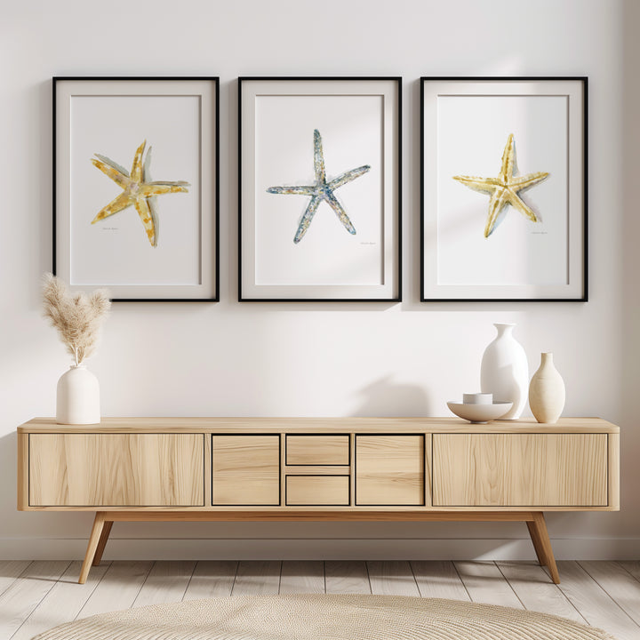 Set of 3 Starfish Wall Prints