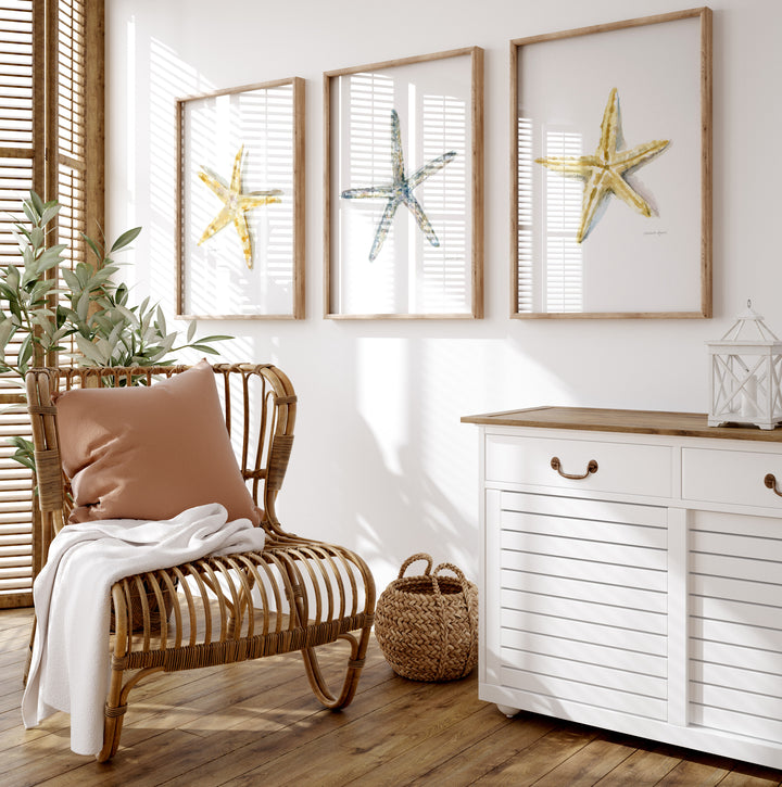 Set of 3 Starfish Wall Prints