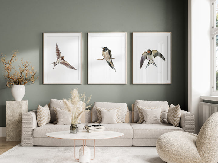 Set of 3 barn swallow watercolor prints