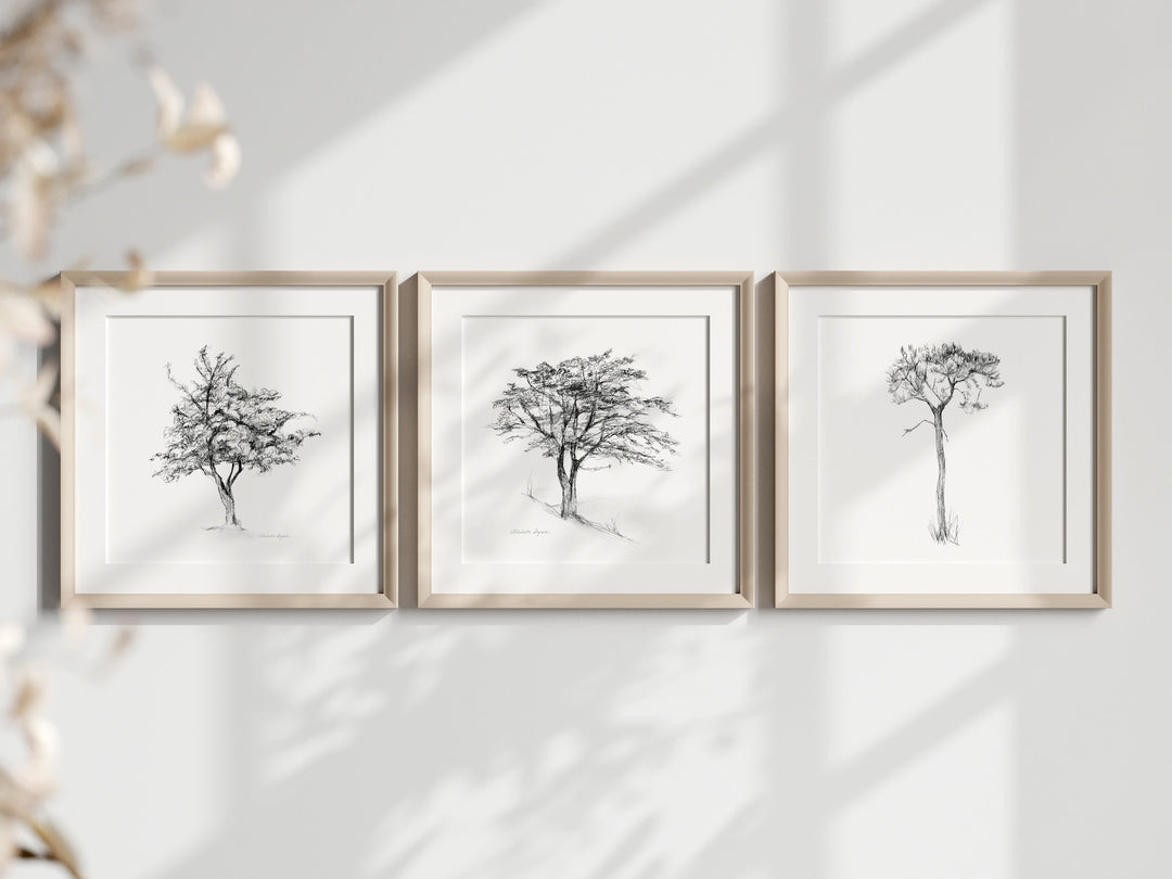 Set of 3 tree Zen drawings in pencil