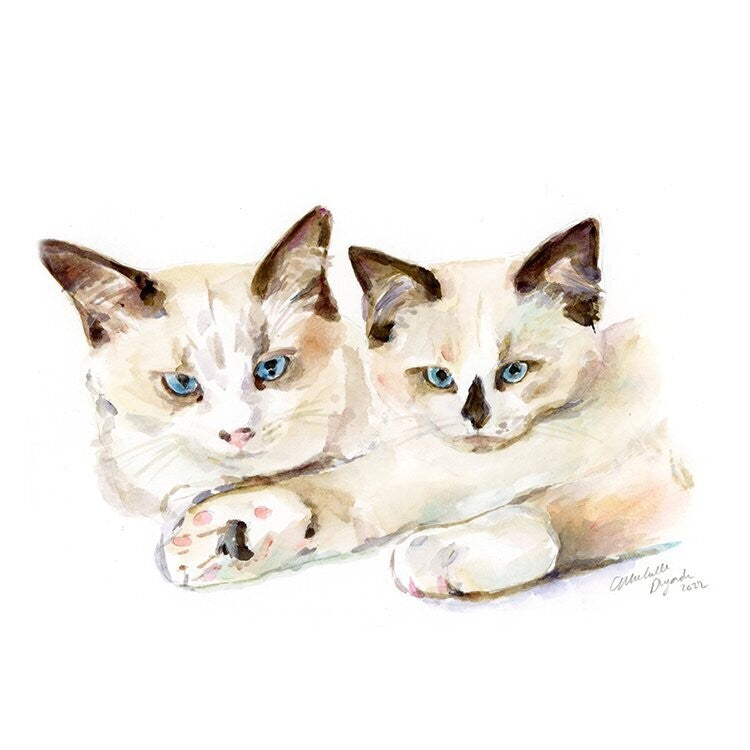 Schilderij van twee katten in aquarel geschilderd door Michelle Dujardin