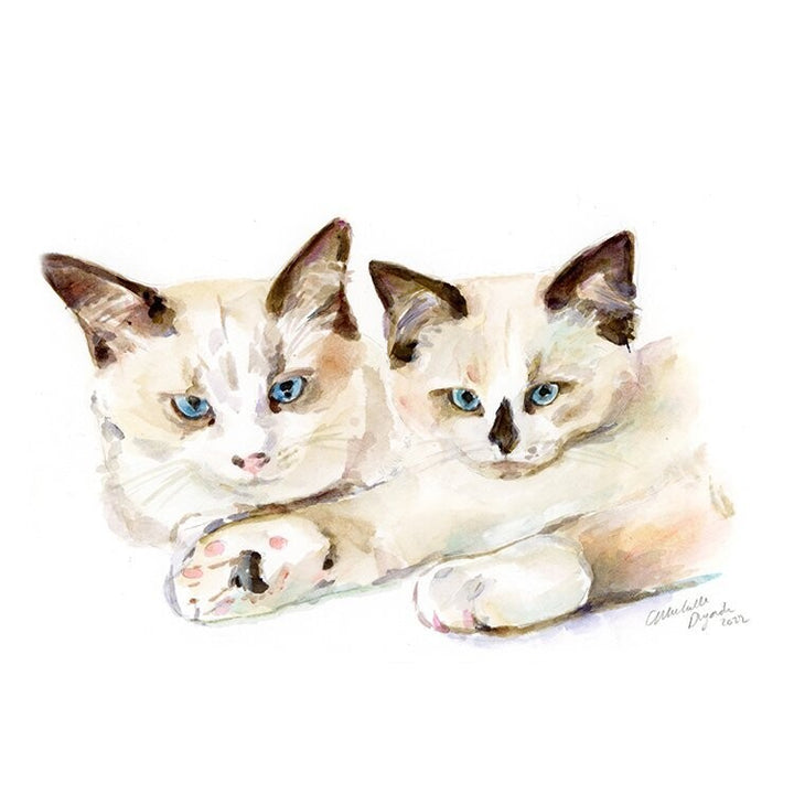 Schilderij van twee katten in aquarel geschilderd door Michelle Dujardin