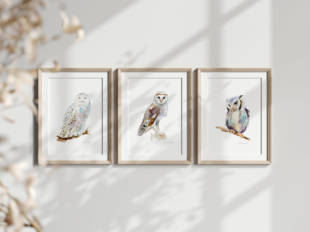 Set van 3 Uilen kunst prints
