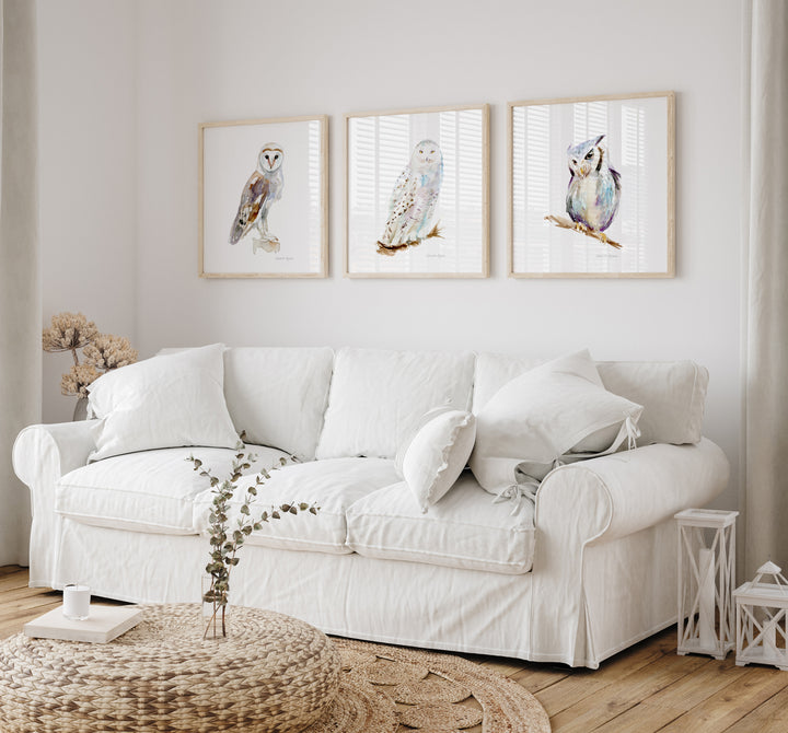 Set van 3 Uilen kunst prints