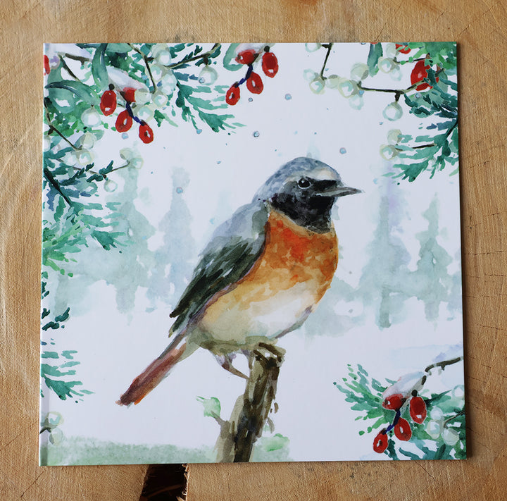 Greeting cards 'Winter Birds' by Michelle Dujardin (2025 release) with kingfisher