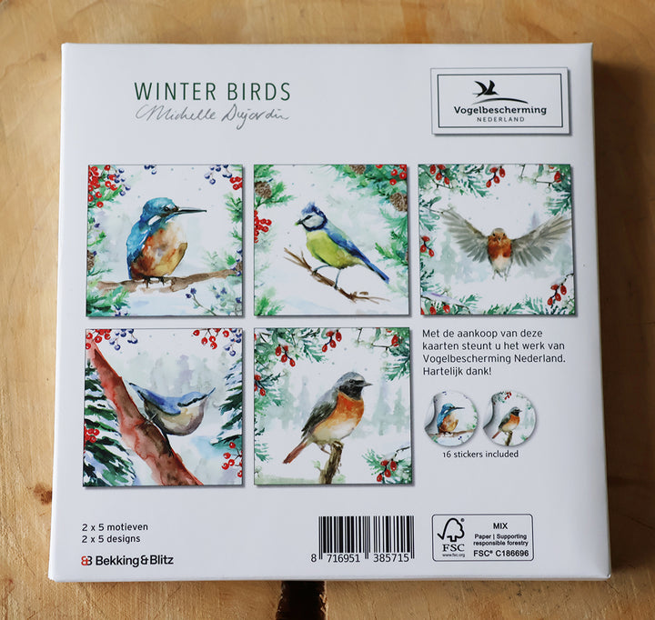 Greeting cards 'Winter Birds' by Michelle Dujardin (2025 release) with kingfisher