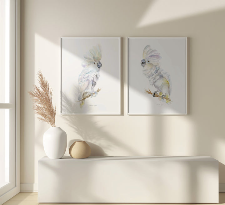 cockatoo art set by Michelle dujardin