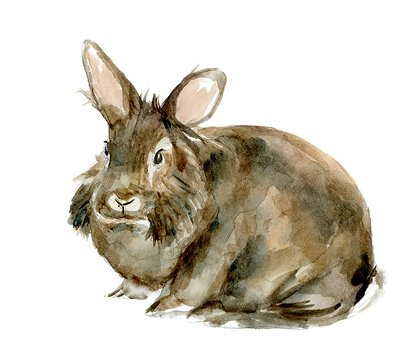 Aquarel schilderij in opdracht van uw hond, kat of huisdier