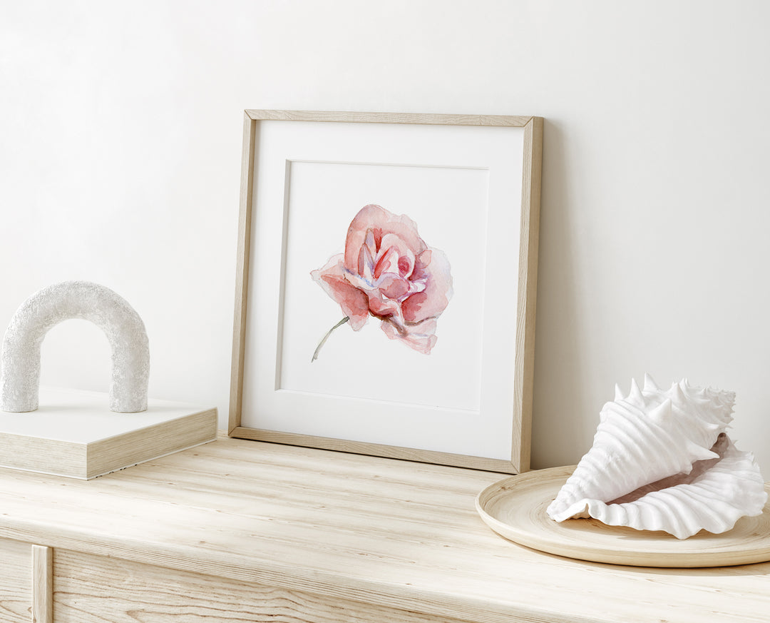 aquarel-illustratie van een roze roos door Michelle Dujardin