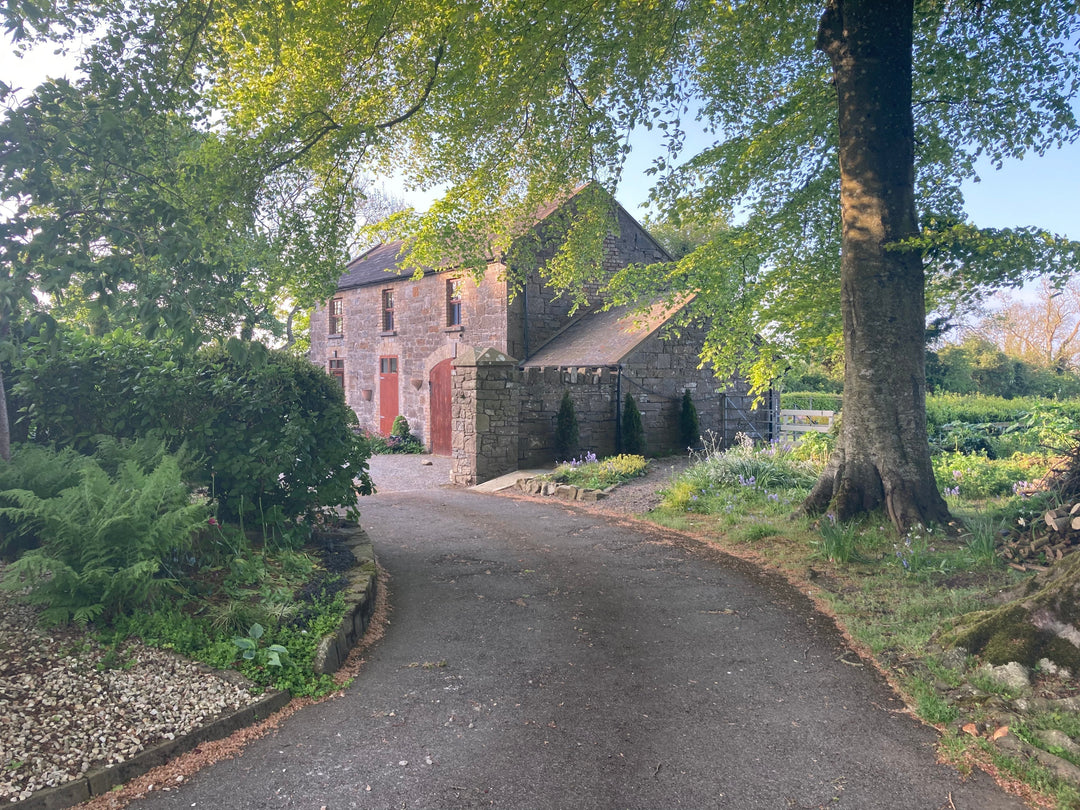 Trip to Ireland – part 1: Arriving in the Landscape