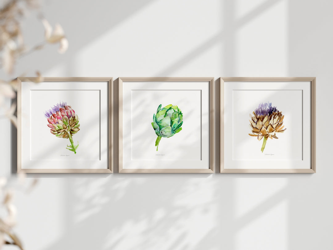 Plant and herbs Art prints