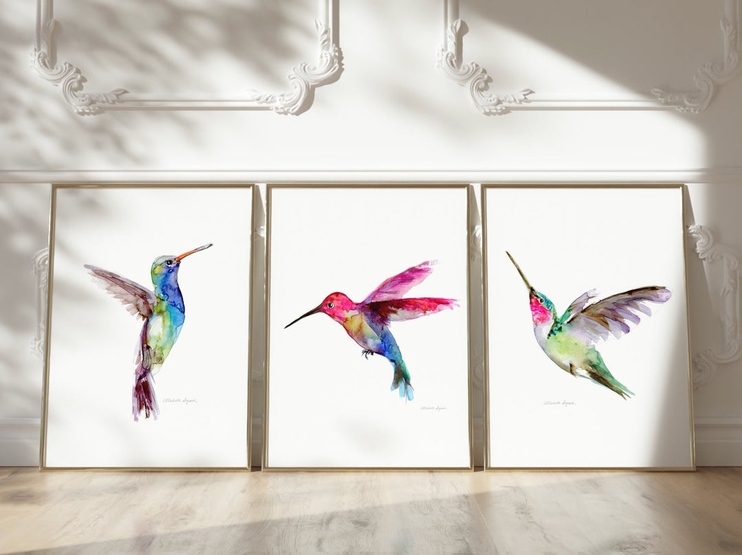 Hummingbird collection