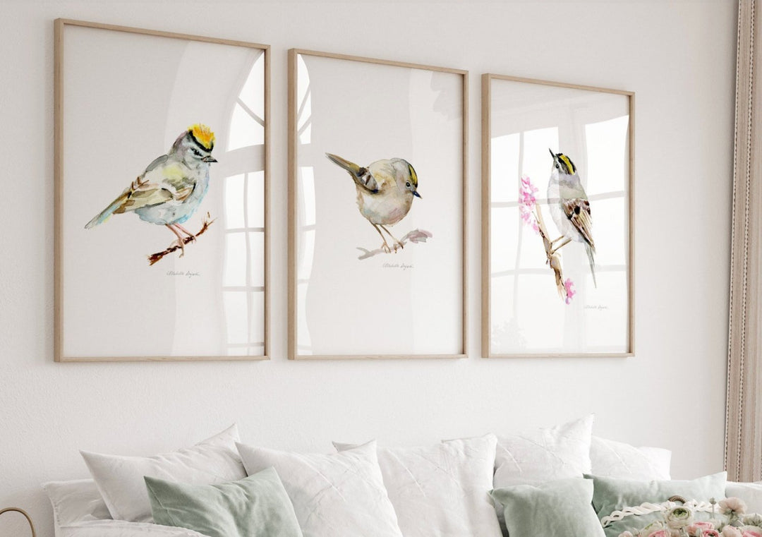 Goldcrest collection