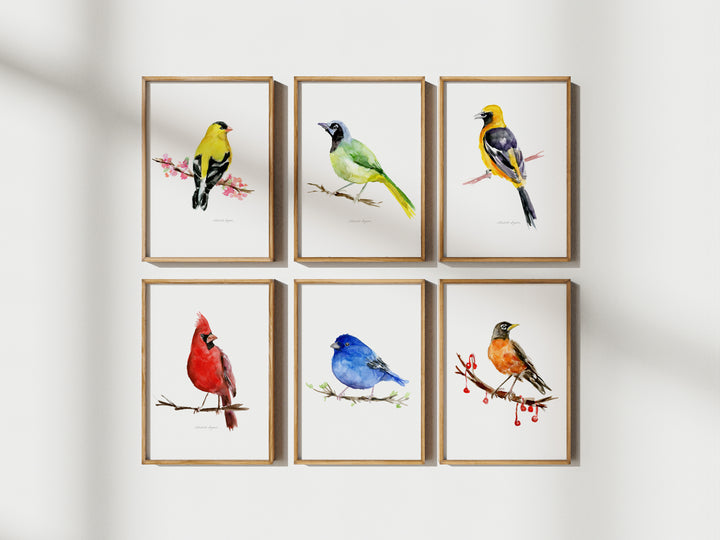 Set van 6 Kleurrijke Amerikaanse zangvogel prints