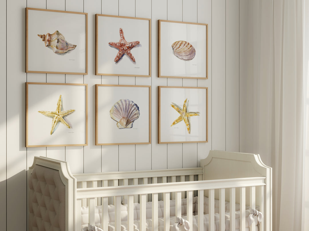 Nursery with framed wall art of shells and starfish above a crib.