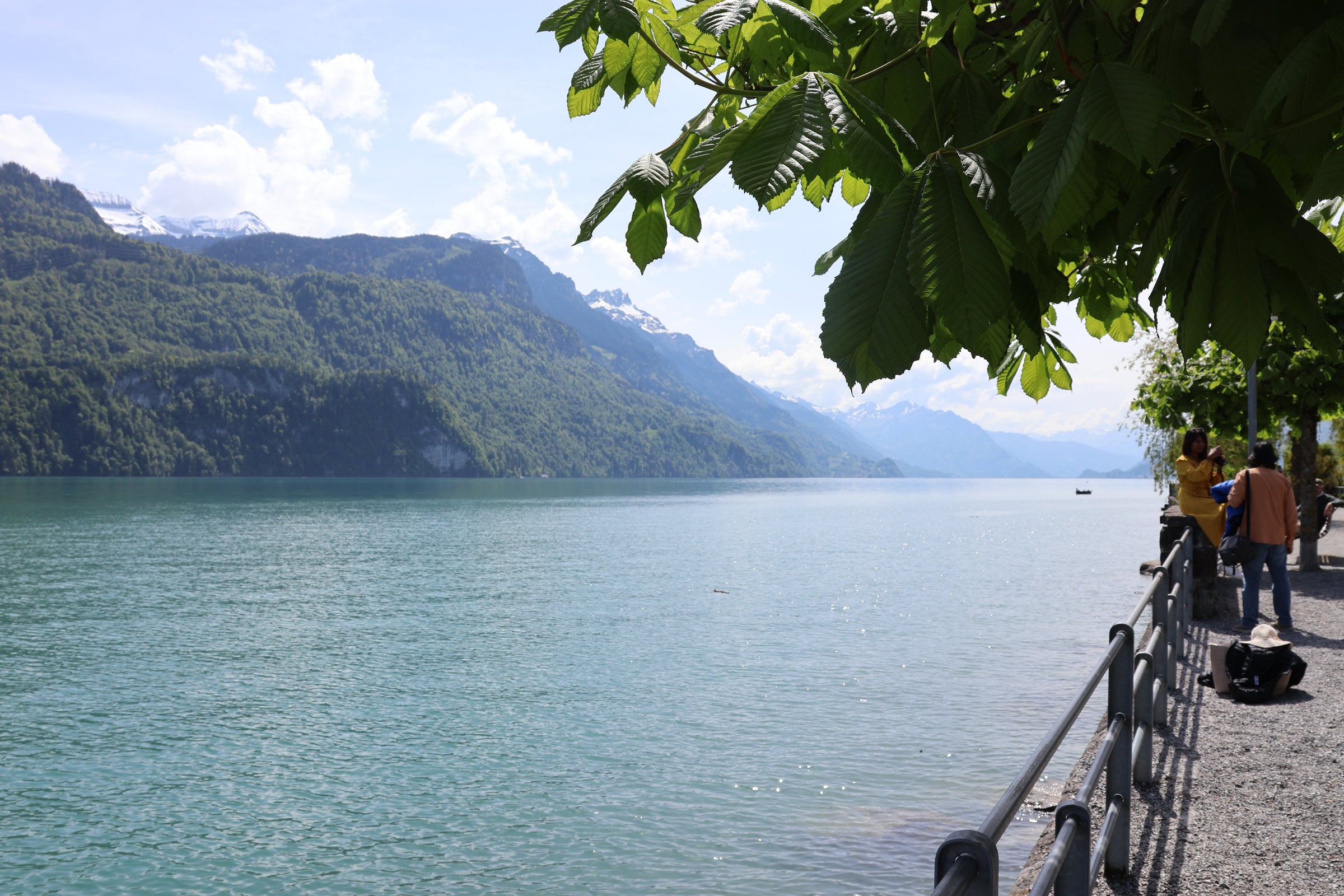 A scenic lakeside view with a large turquoise lake, forested mountains, and a paved walkway under leafy green trees. A few people are standing near the railing on the right side of the path.