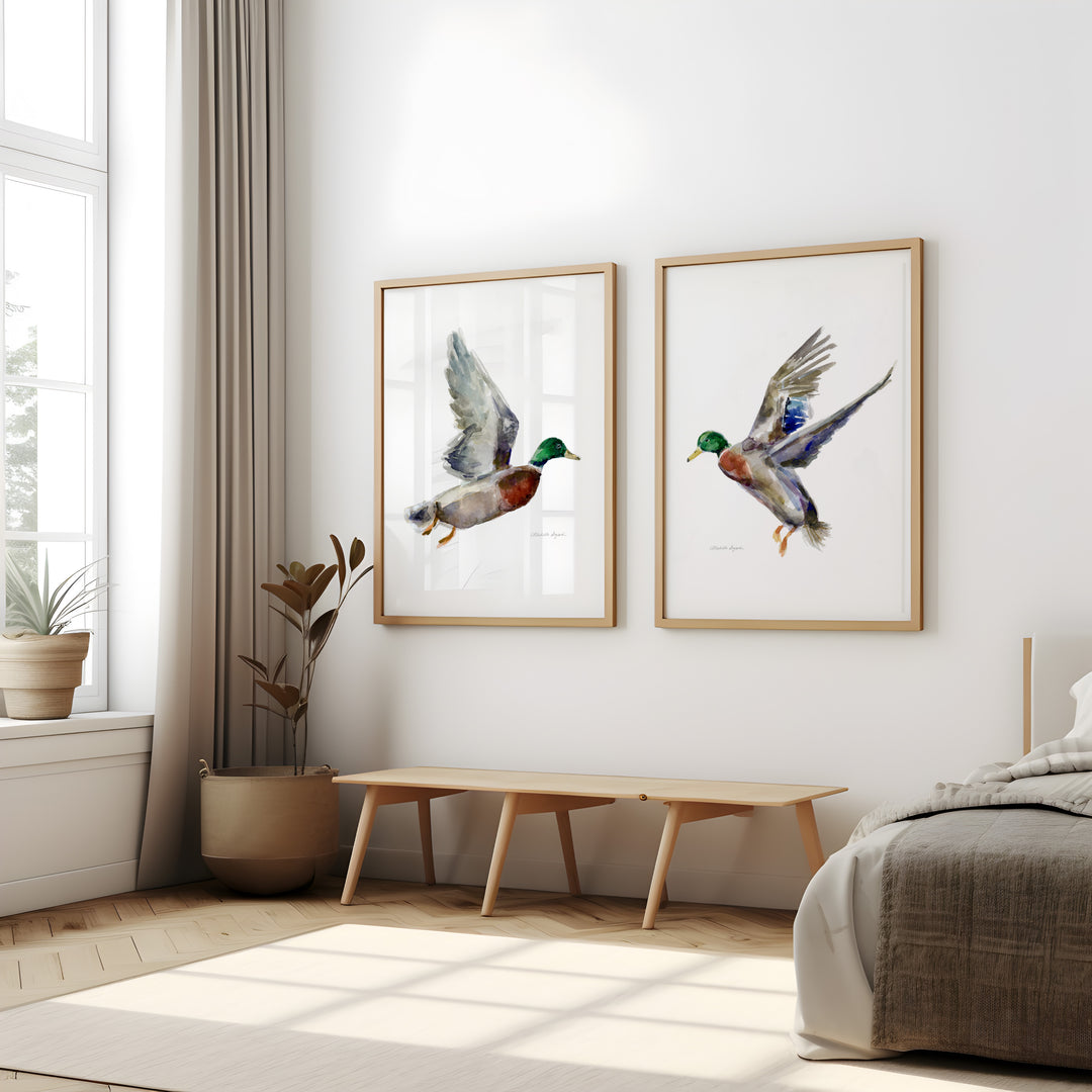 Two framed paintings of ducks on a wall in a bright room with a table and bed.