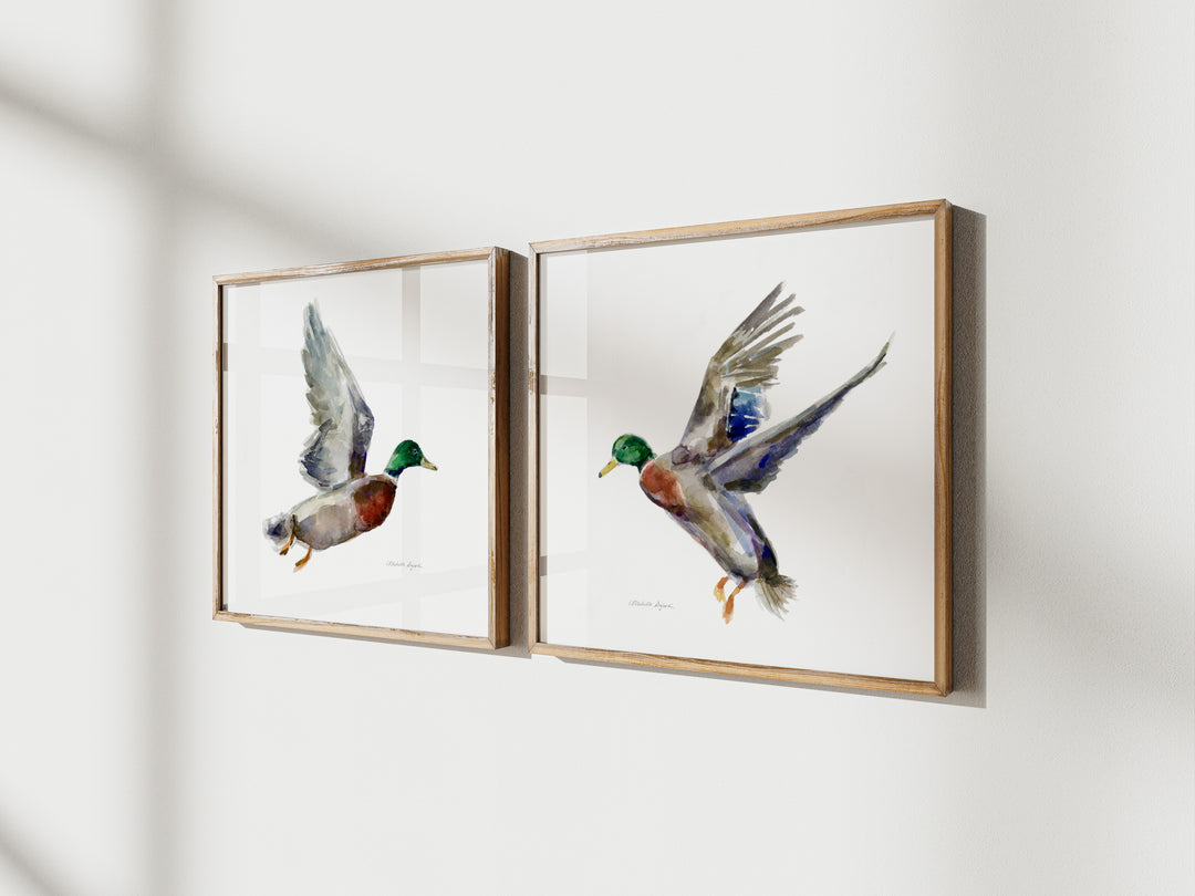 Twee lijsten aan de muur met vliegende eenden kunst