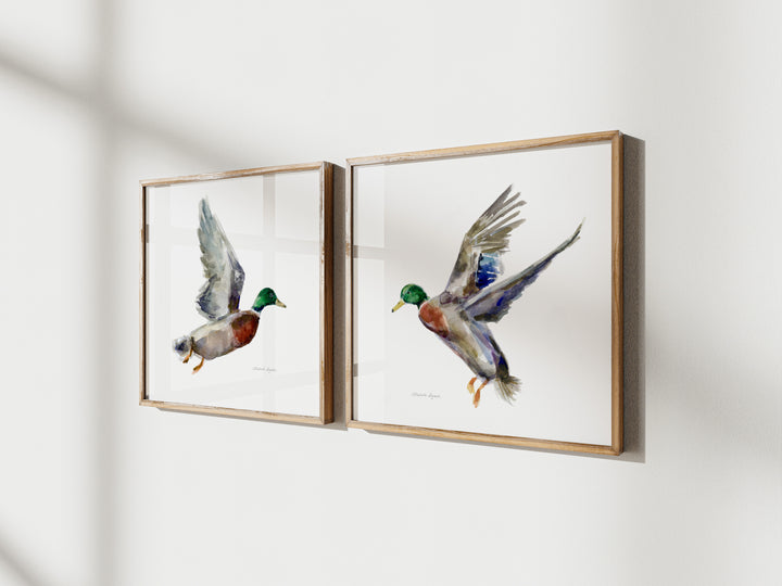 Twee lijsten aan de muur met vliegende eenden kunst